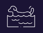 Dog Hydrotherapy