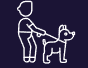 Dog Walking